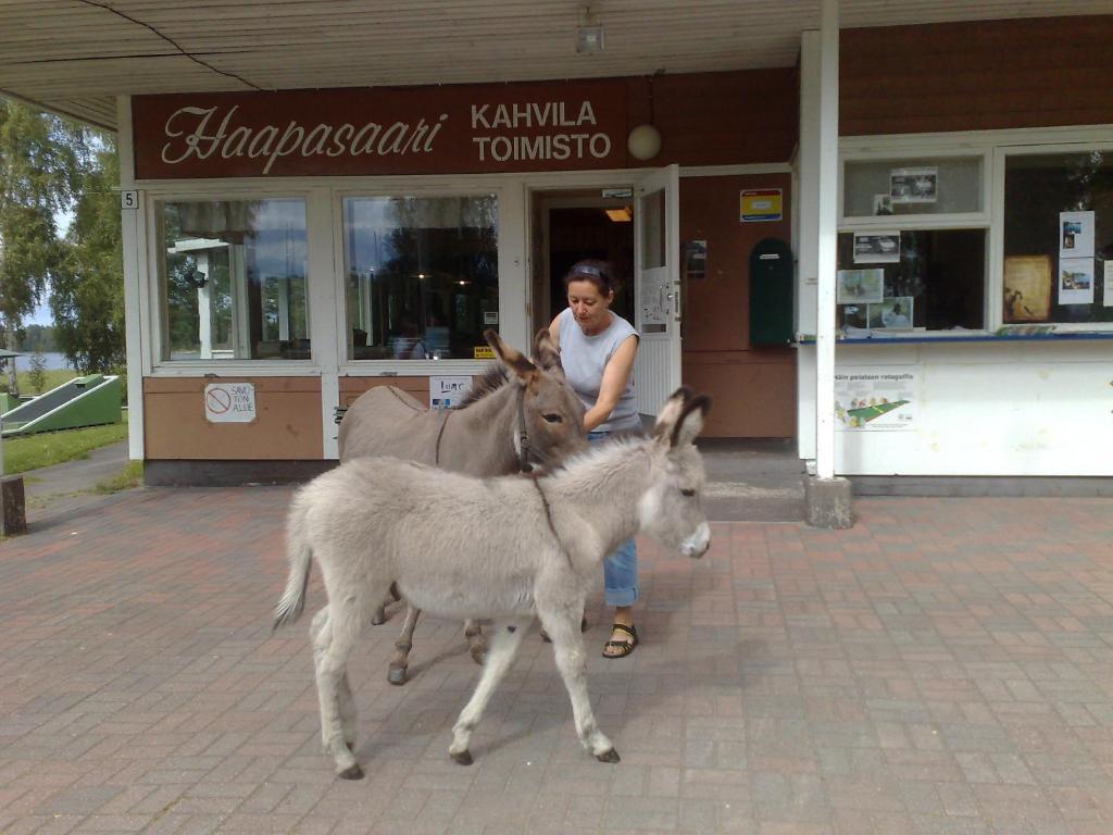 Haapasaaren Lomakyla Hotel Ruovesi Eksteriør billede